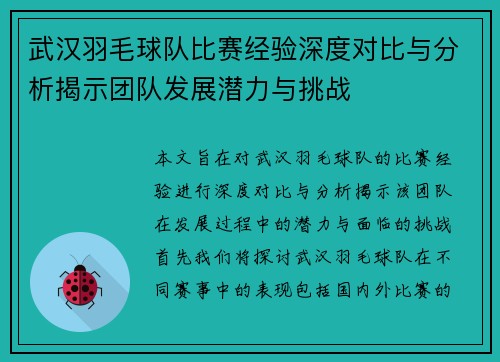 武汉羽毛球队比赛经验深度对比与分析揭示团队发展潜力与挑战